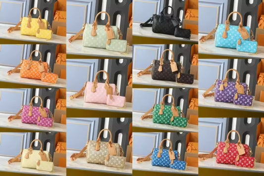 Lv Speedy Bag